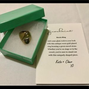 Jewelmint Fashion Jewelry - Bowie Ring